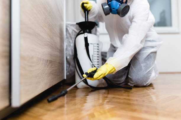 Best Rat Extermination Near Me  in Walthourville, GA