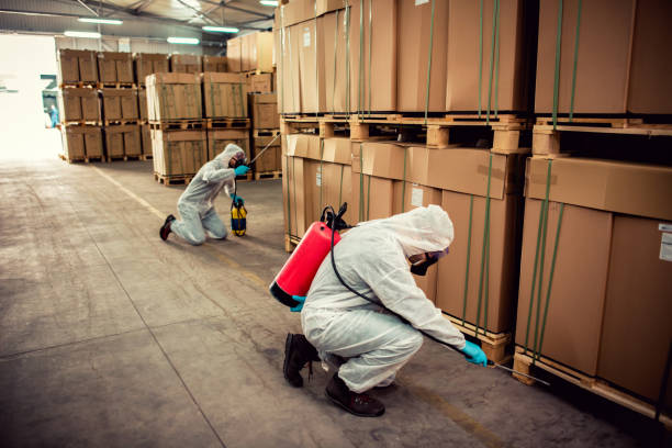 Best Local Pest Control Services  in Walthourville, GA